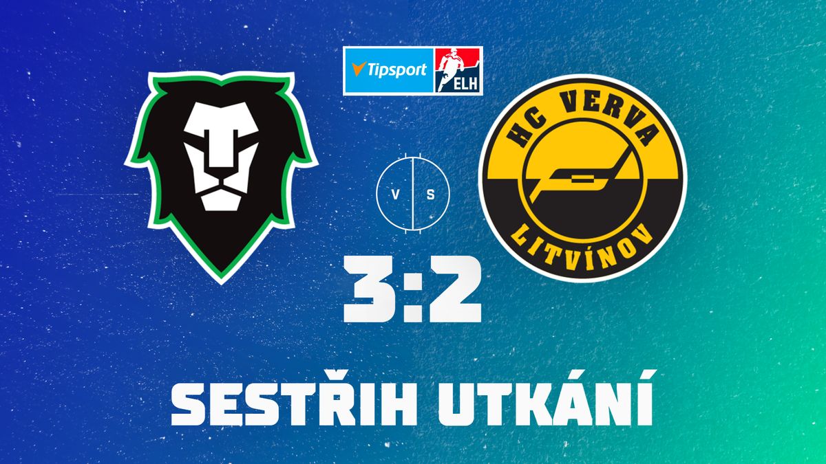 Ztráta koncentrace stála Vervu body. Měl jsem rukavici v obličeji, podotkl litvínovský forvard